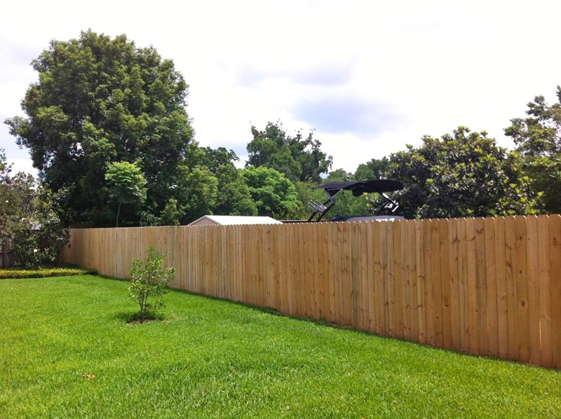 Portfolio of Professional Fencing Projects