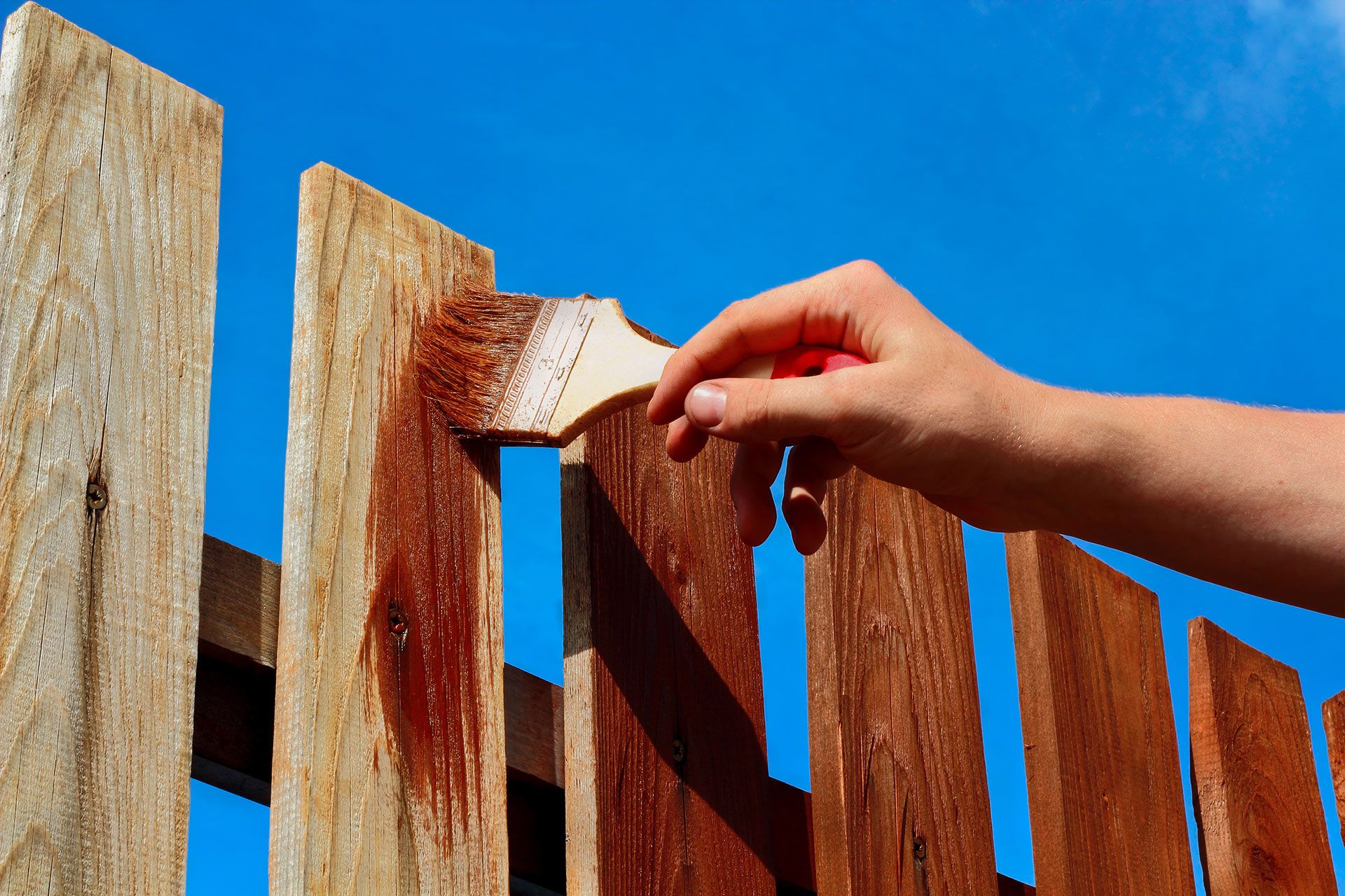 ALS New Fence Project 21
